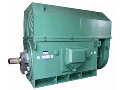 贺兰Y系列6KV高压电机